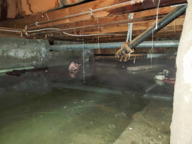 Best Mold removal after water damage  in Kennesaw State University, GA