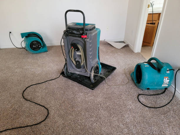 Best Ceiling water damage repair  in Kennesaw State University, GA
