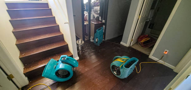  Kennesaw State University, GA Water damage restoration Pros