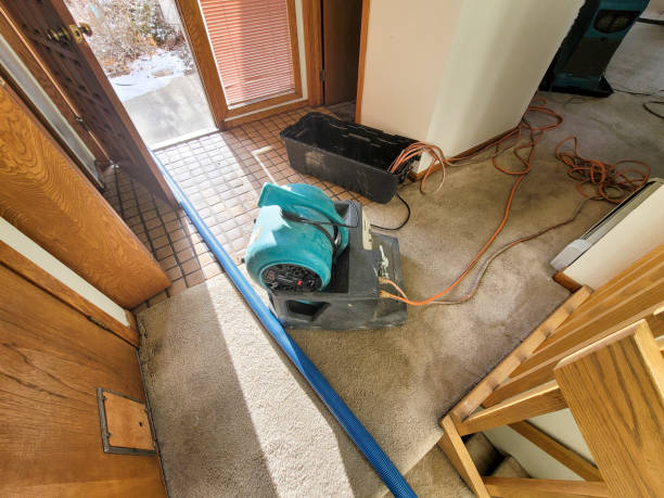 Best Mold removal after water damage  in Kennesaw State University, GA