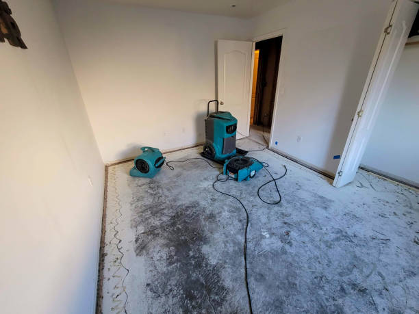 Best Basement water damage restoration  in Kennesaw State University, GA