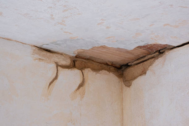 Best Water damage restoration near me  in Kennesaw State University, GA