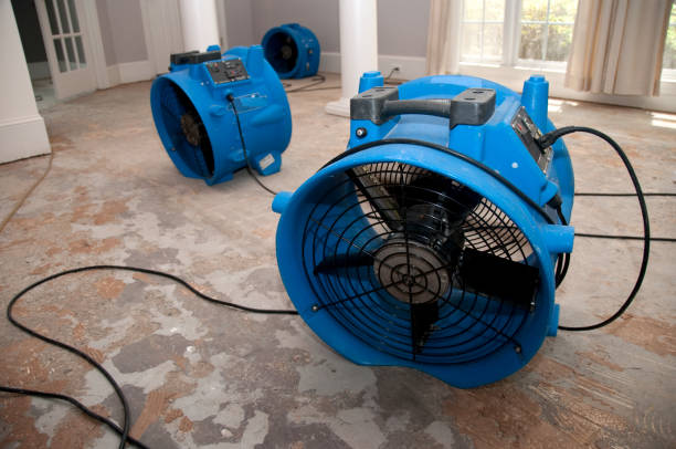 Trusted GA Water damage restoration Experts