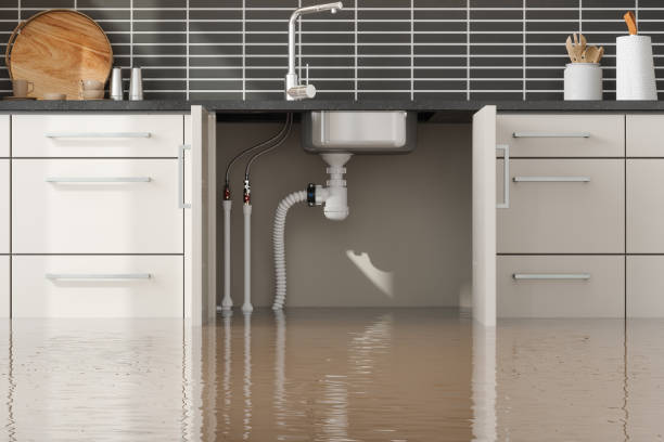 Best Mold removal after water damage  in Kennesaw State University, GA