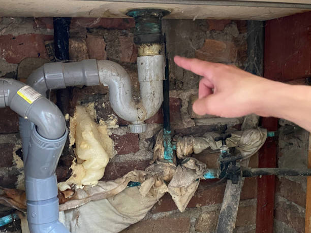 Best Mold removal after water damage  in Kennesaw State University, GA