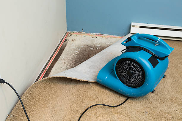 Best Residential water damage restoration  in Kennesaw State University, GA